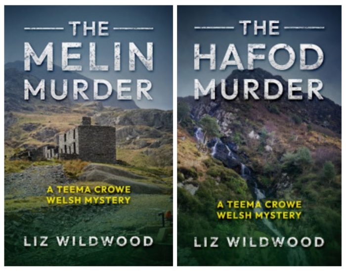 Book covers for Liz Wildwood's novels The Melin Murder and The Haford Murder